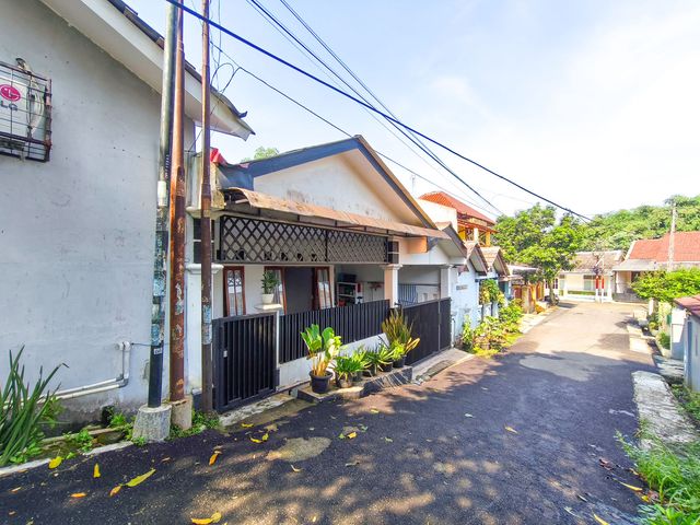 place photo 20