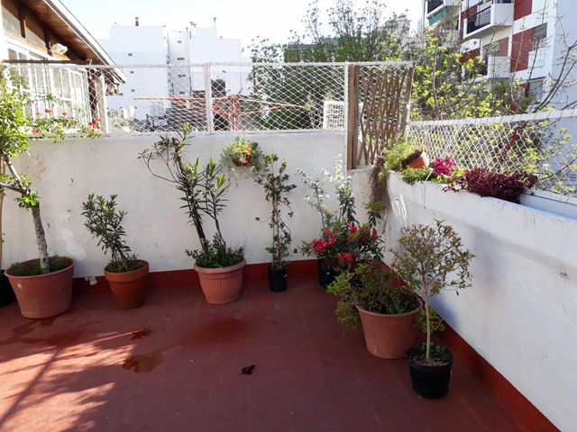 place photo 20
