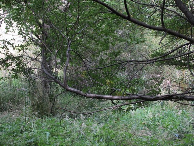 place photo 67