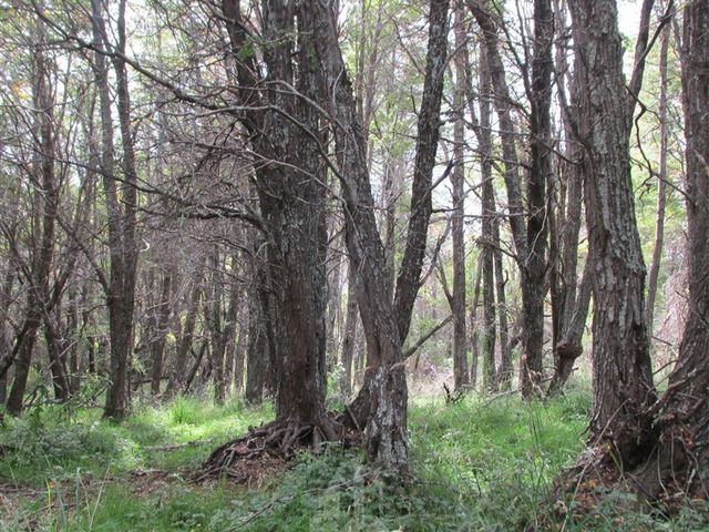 place photo 66