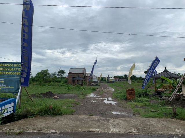 place photo 2