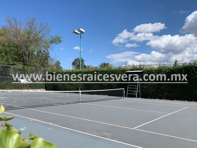 place photo 45