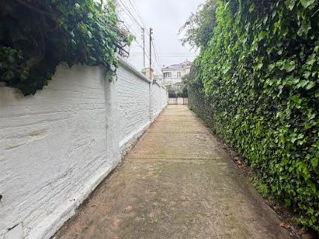 place photo 39