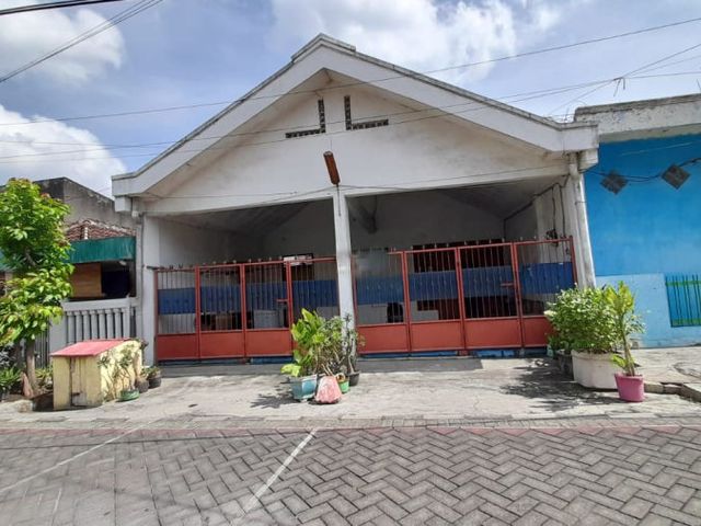 Rumah Dijual Ikan Kerapu Surabaya KT