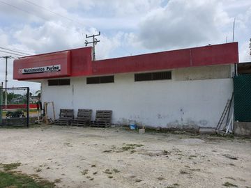 place photo 11