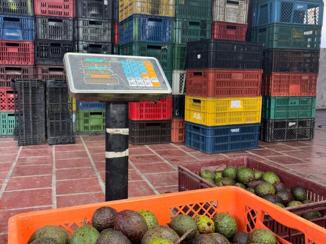 place photo 27