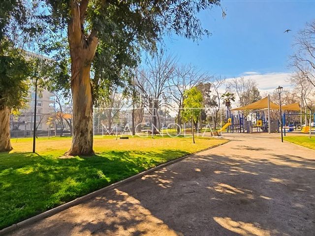 place photo 33