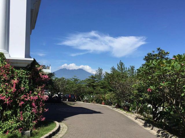 place photo 14