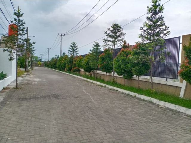 place photo 5
