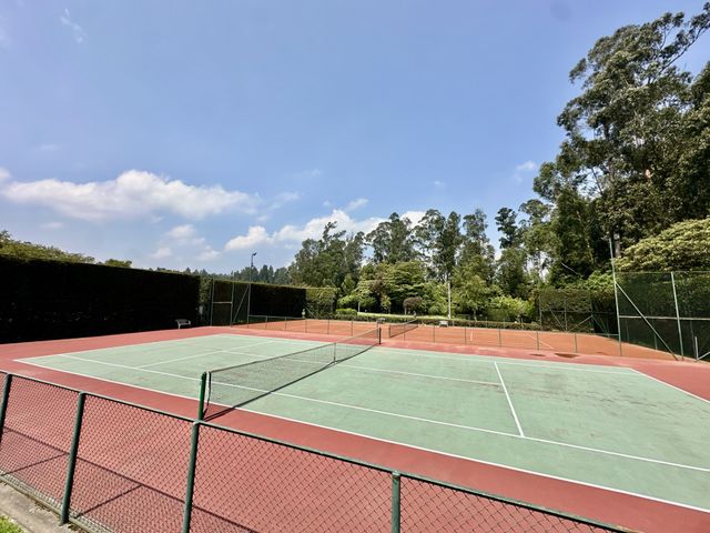 place photo 29