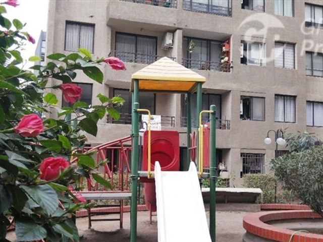 place photo 17