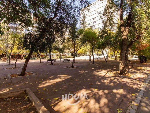 place photo 27