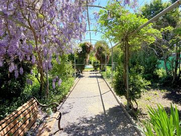 place photo 39