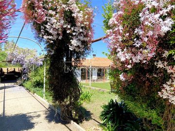 place photo 43