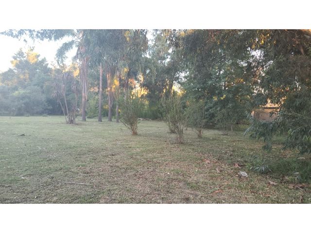 place photo 12