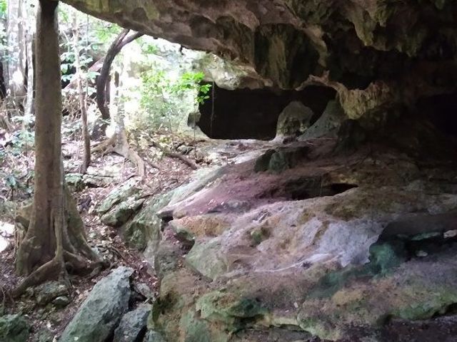 place photo 9