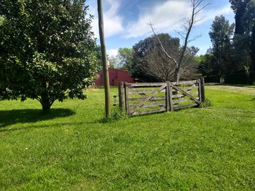 place photo 15