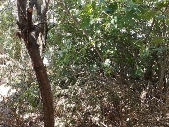 place photo 32