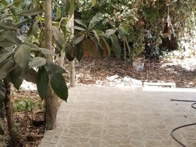 place photo 33