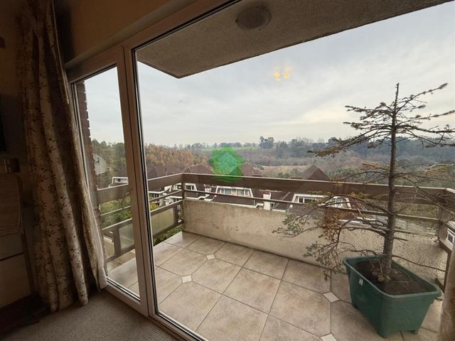 place photo 16