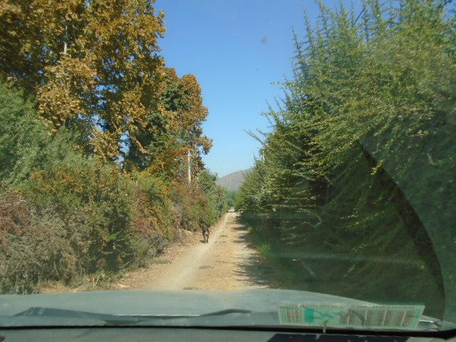 place photo 27