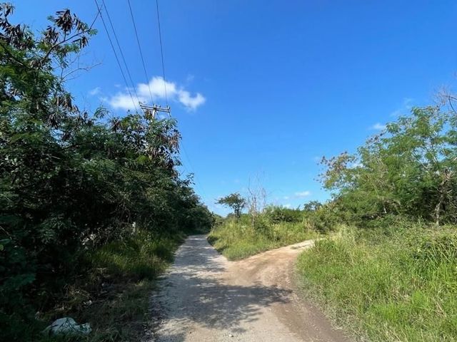 place photo 14
