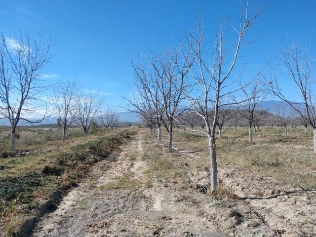 place photo 15