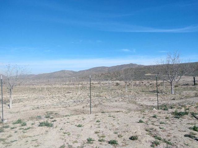 place photo 27