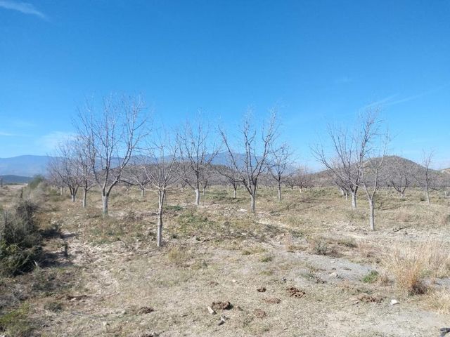place photo 19
