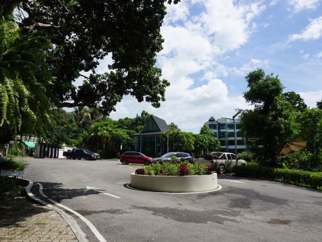 place photo 25