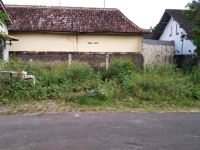 place photo 2