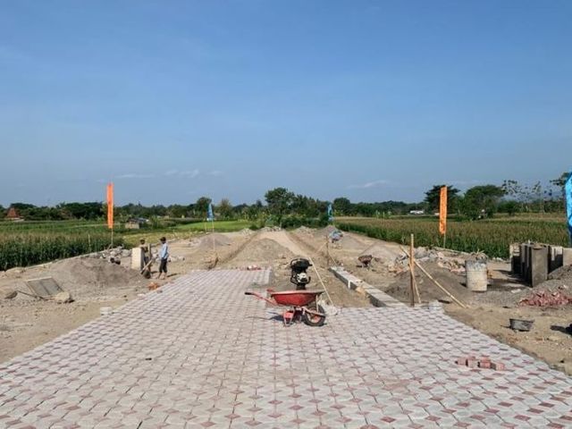 place photo 3