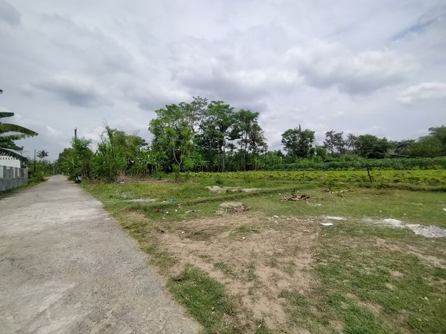 place photo 6