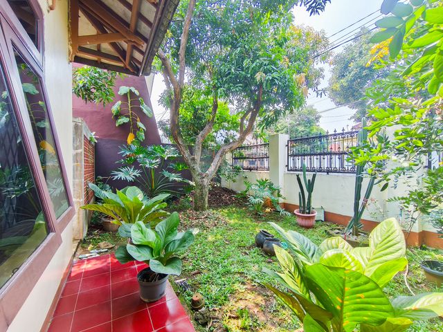 place photo 71