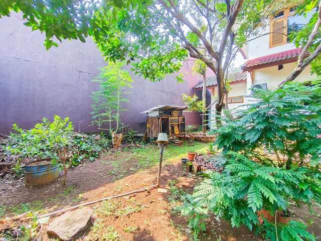 place photo 43