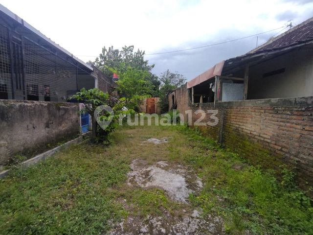 place photo 21