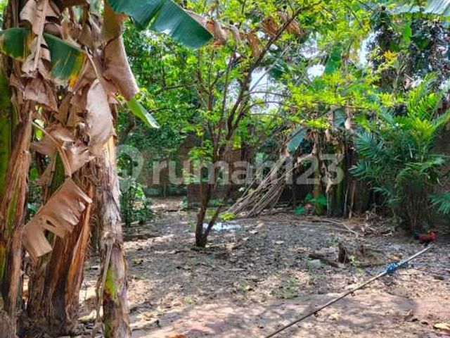 place photo 17