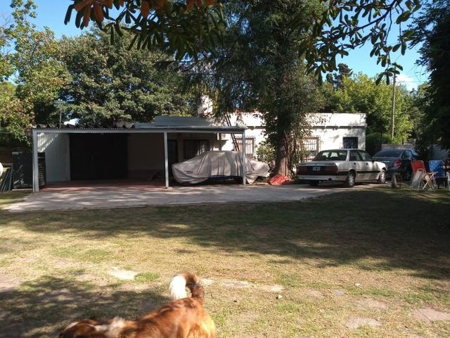 place photo 17