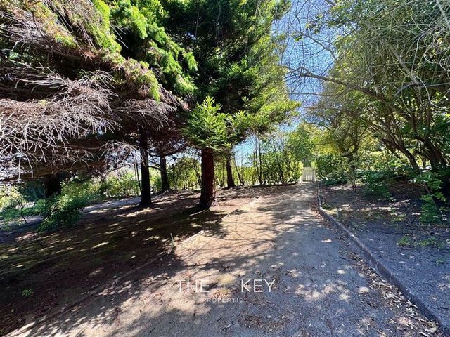 place photo 48