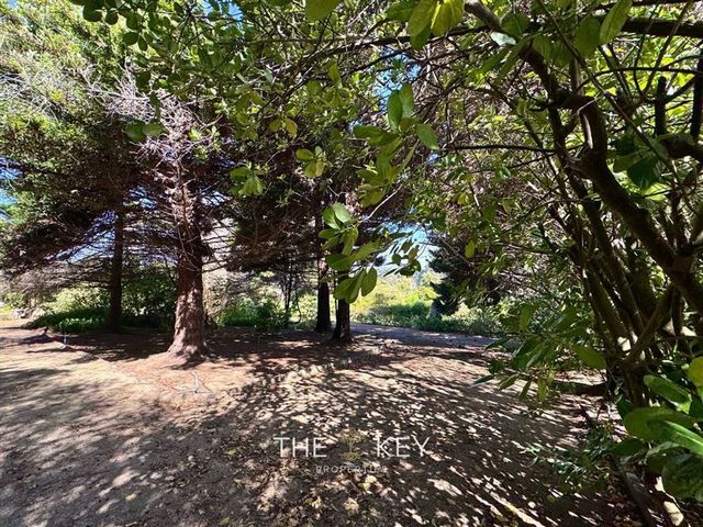 place photo 60