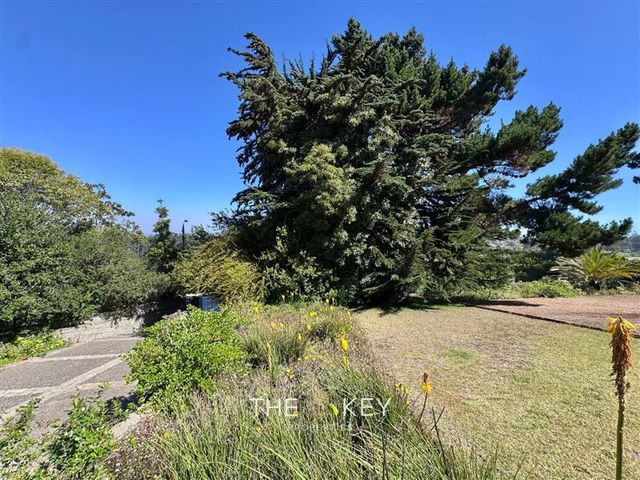 place photo 69