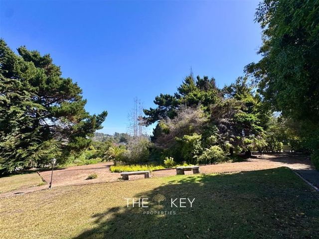 place photo 65