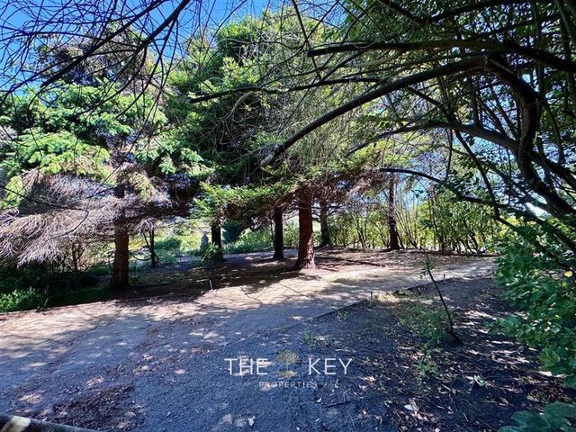 place photo 61