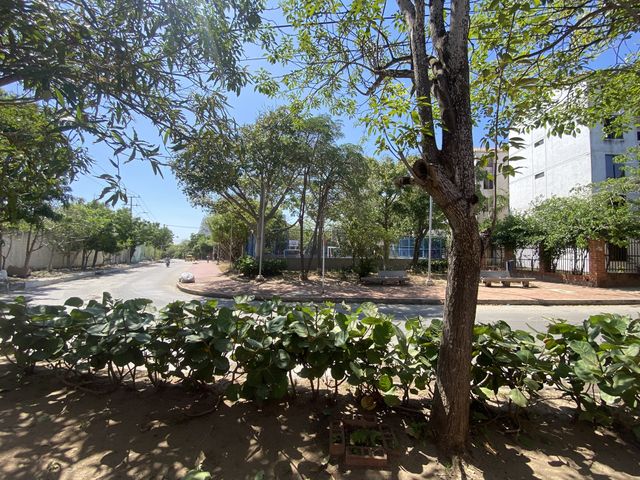 place photo 25