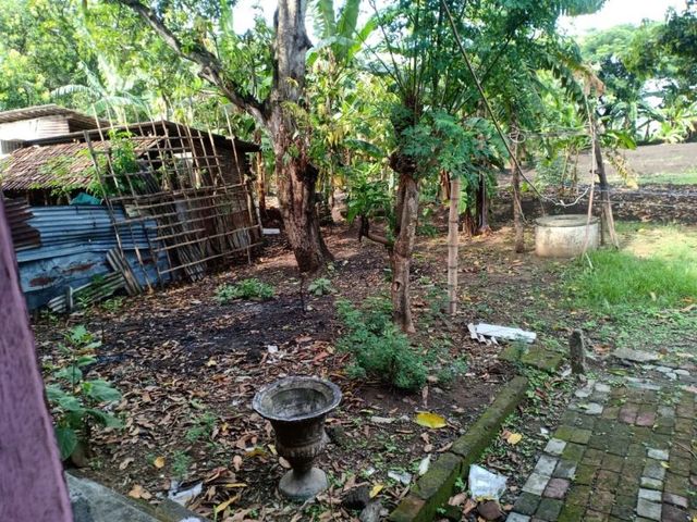 place photo 9