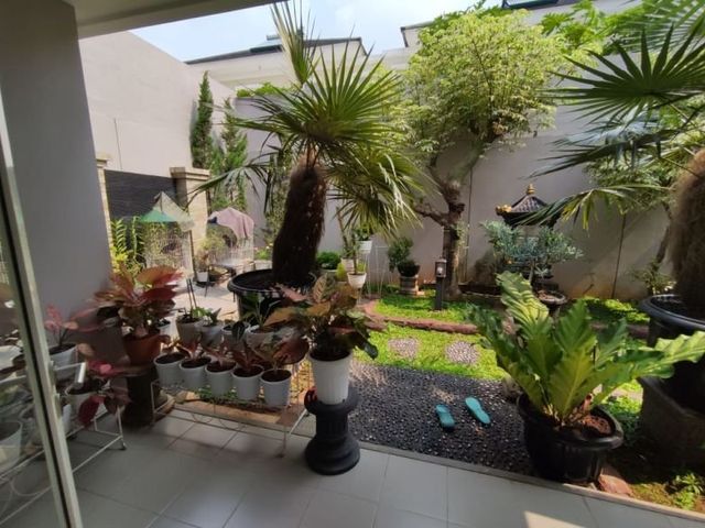 place photo 15