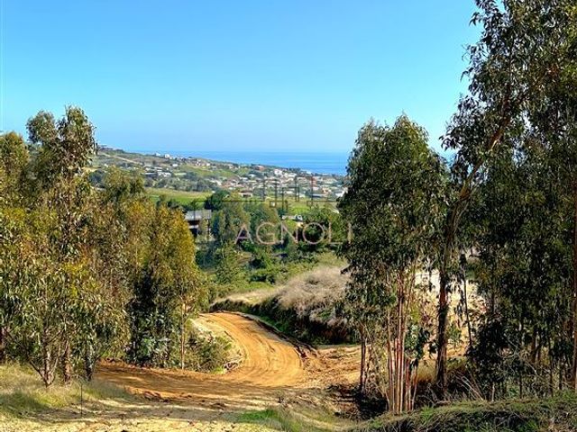 place photo 46