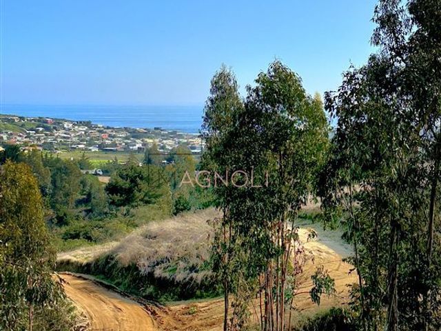 place photo 47
