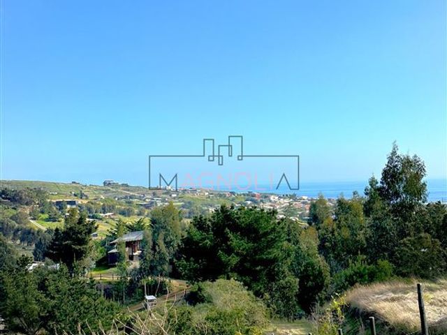 place photo 48