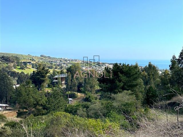 place photo 49